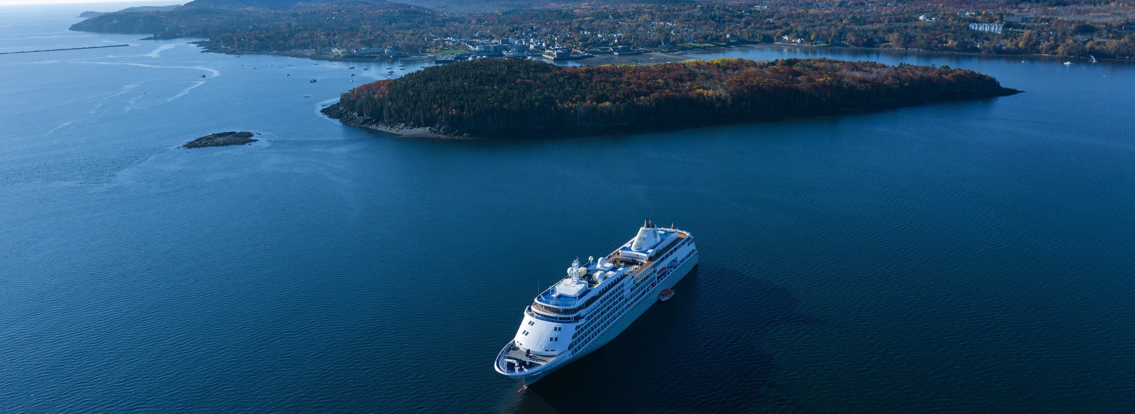 Silver Whisper